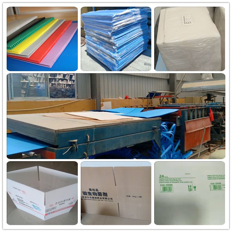 Corrugated Plastic Sheet /PP Hollow Board