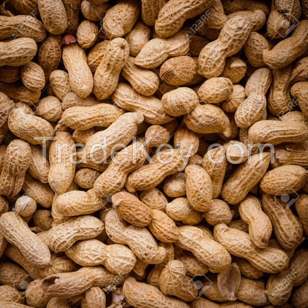 Groundnut (peanuts)