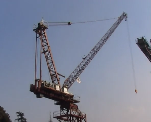 D160 tower crane