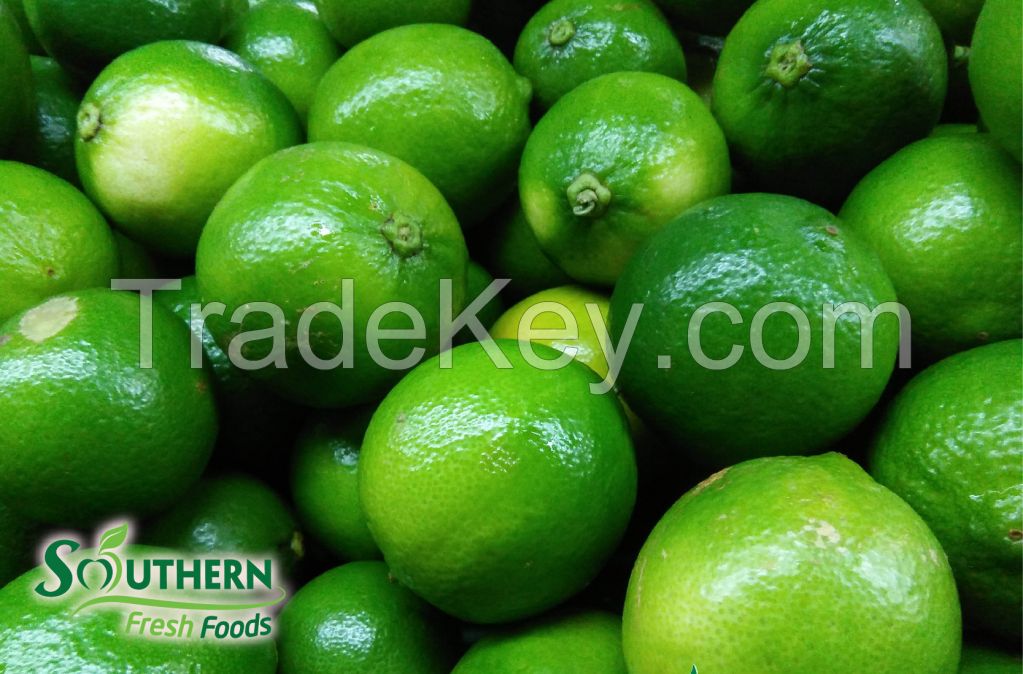 Seedless Lime Vietnam