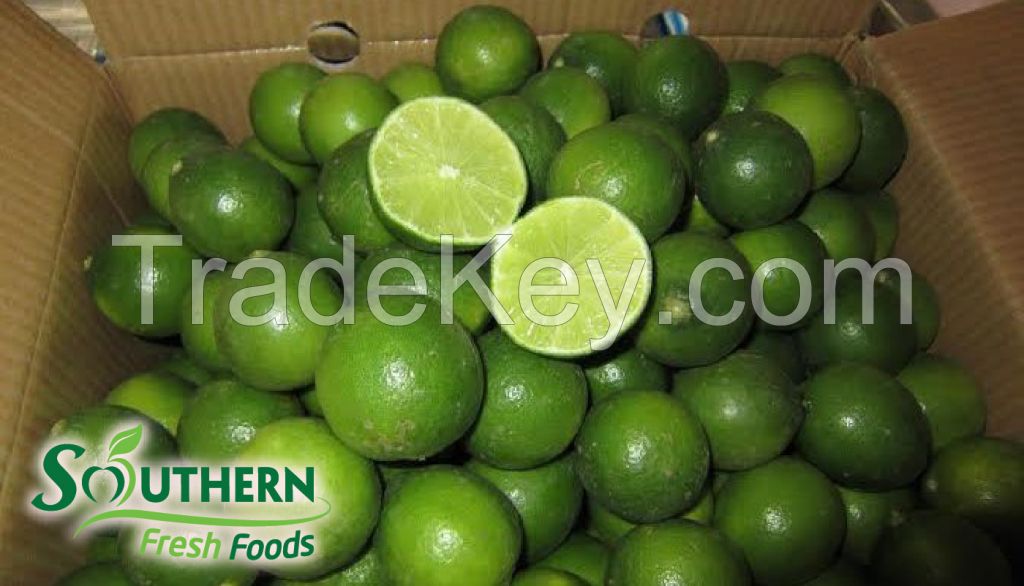 Seedless Lime Vietnam