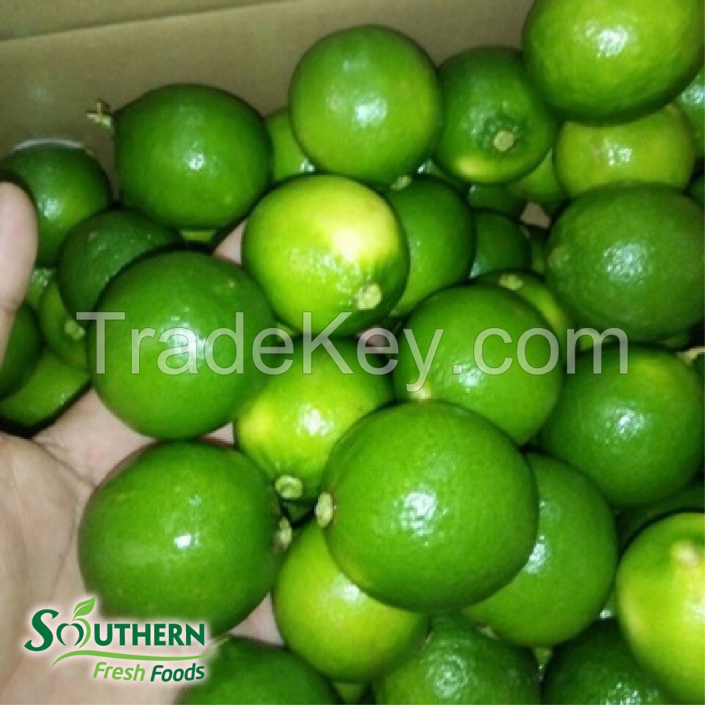 Seedless Lime Vietnam