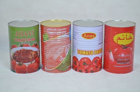 Tomato Paste