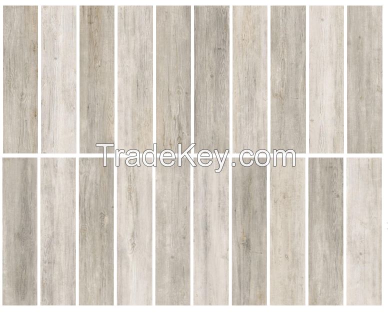 Porcelain tile - ALASKA - Glazed (20 faces)