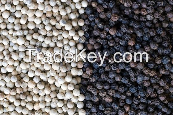 Black Pepper / White Pepper