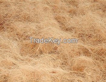 Coconut Fiber