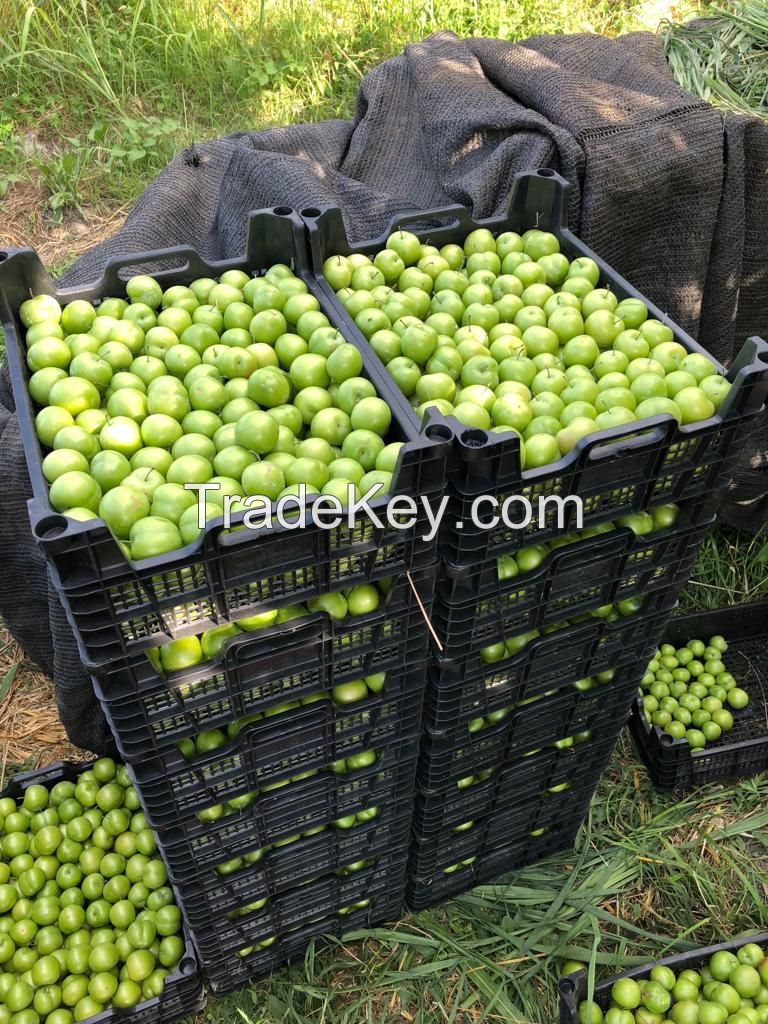 Fresh fruits and Vegetables from Azerbaijan