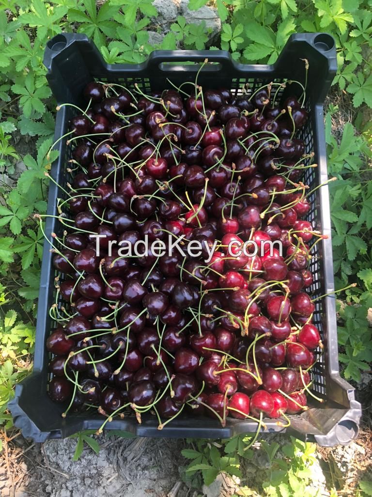 Fresh fruits and Vegetables from Azerbaijan