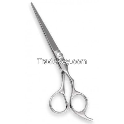 Hair cutting scissors.