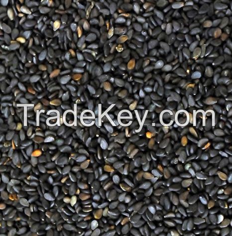 Black Sesame Seeds