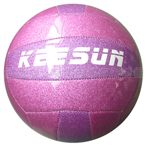 Volleyball(VM5003)