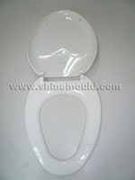 toilet mould