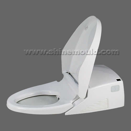 sanitary mould-toilet molds