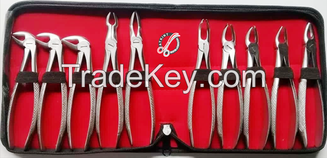 10 pcs Box of Stainless-Dental-Extracting-Forceps