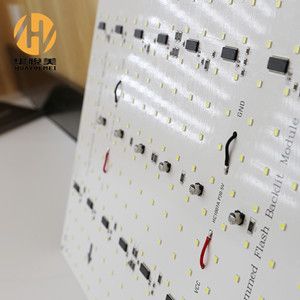 Programmable Flashing Backlit LED Module