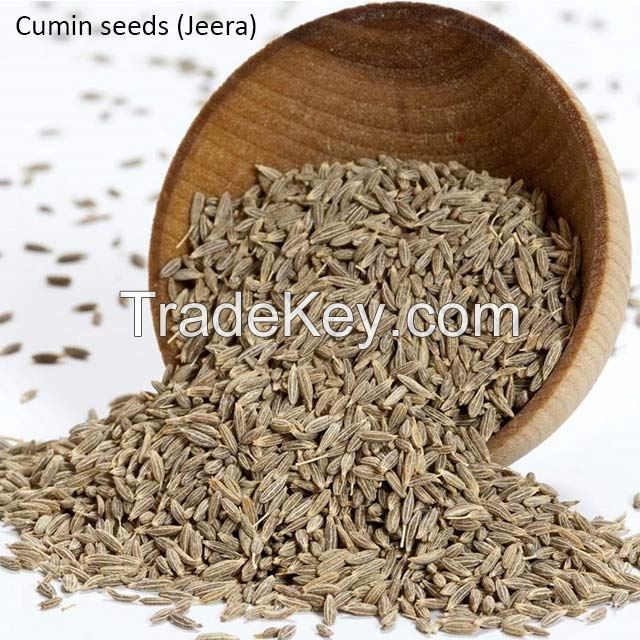 CUMIN SEED, FENNEL SEED , SESAME SEED , FENUGREEK SEED, DILL SEED,