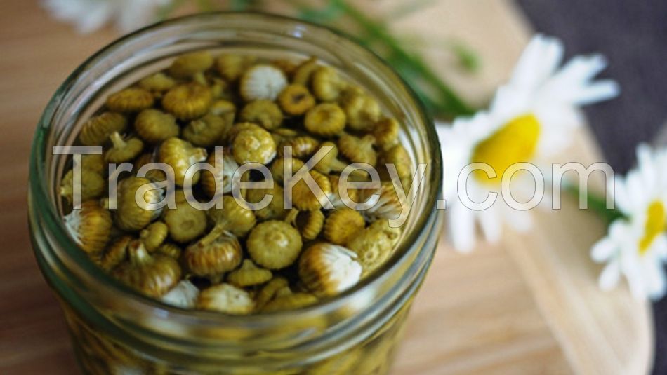 Canned capers from Morocco