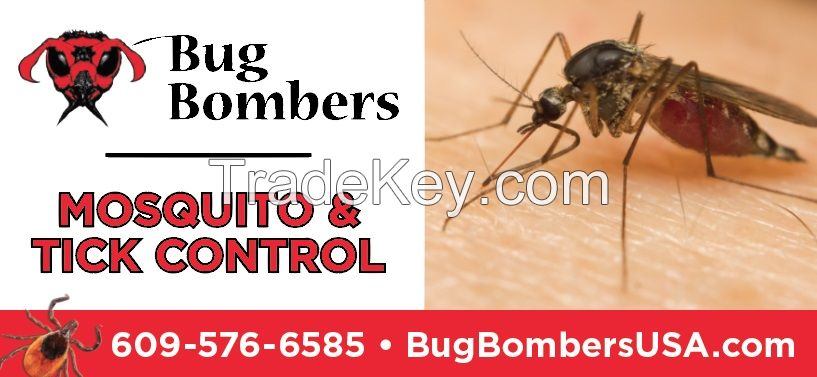 Bug Bombers