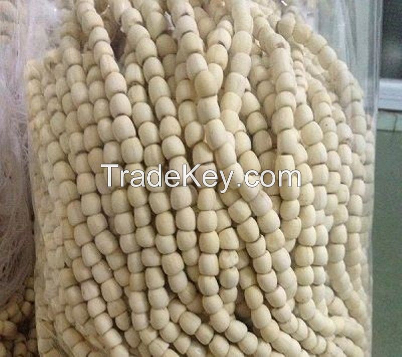 Dried white Lotus Seed