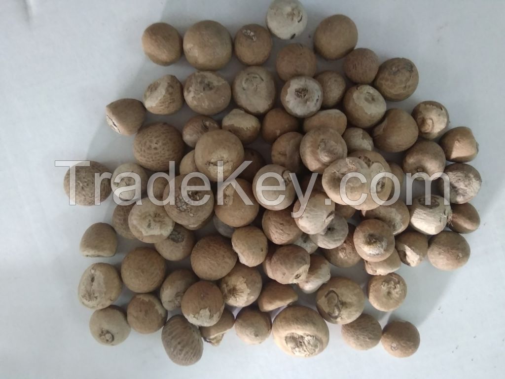 Whole Dried Betel Nut