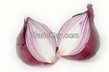 Fresh Onion