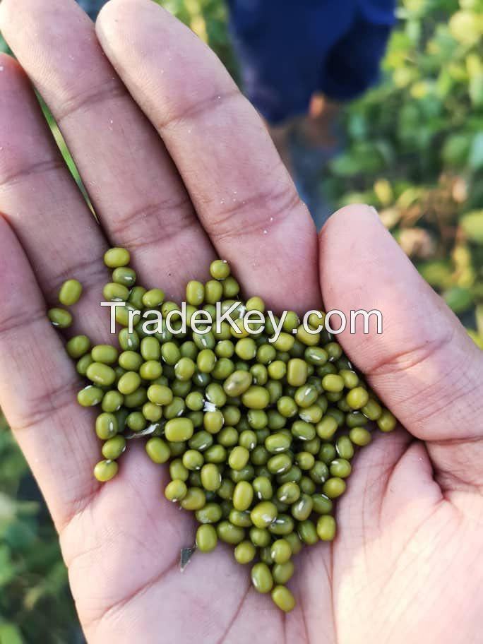 Mung Beans