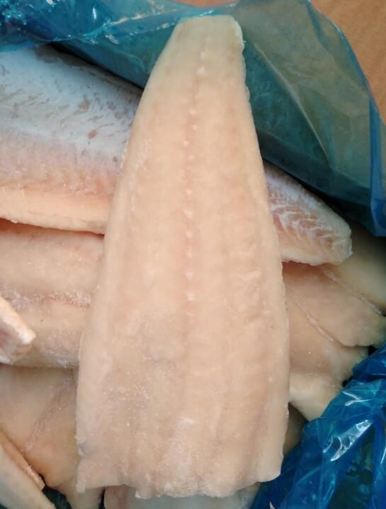 Frozen haddock fillets