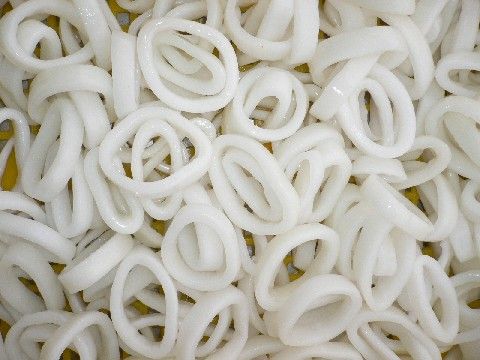 Frozen IQF squid rings