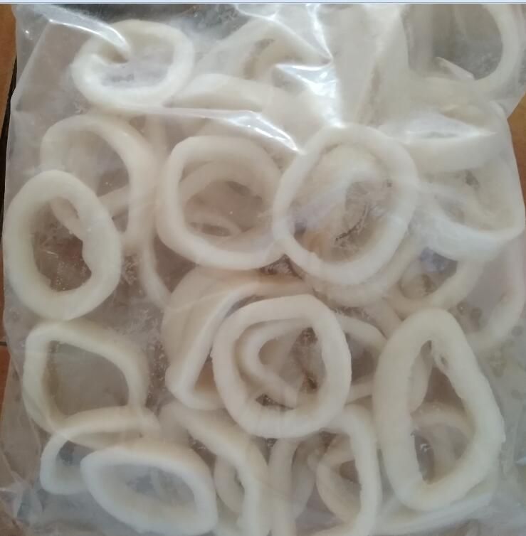 Frozen IQF squid rings