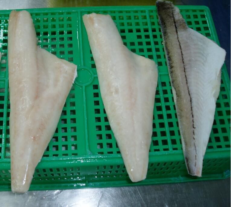 Frozen haddock fillets