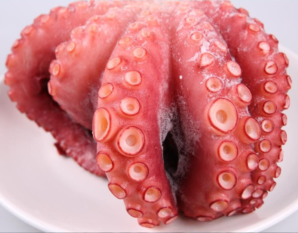 Frozen IQF Boiled octopus