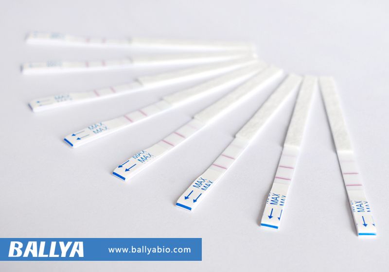 rapid test kit for milk to detect beta-lactams+tetracyclines