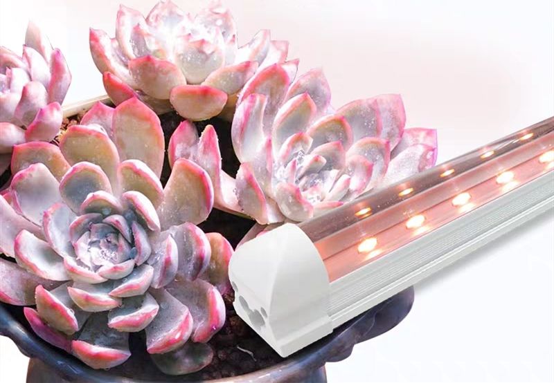 Full spectrum led vegetable flower carnivorous plant growth lamp fleshy fill light anti-personal color