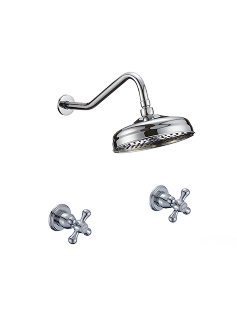 Wall mounted shower faucet