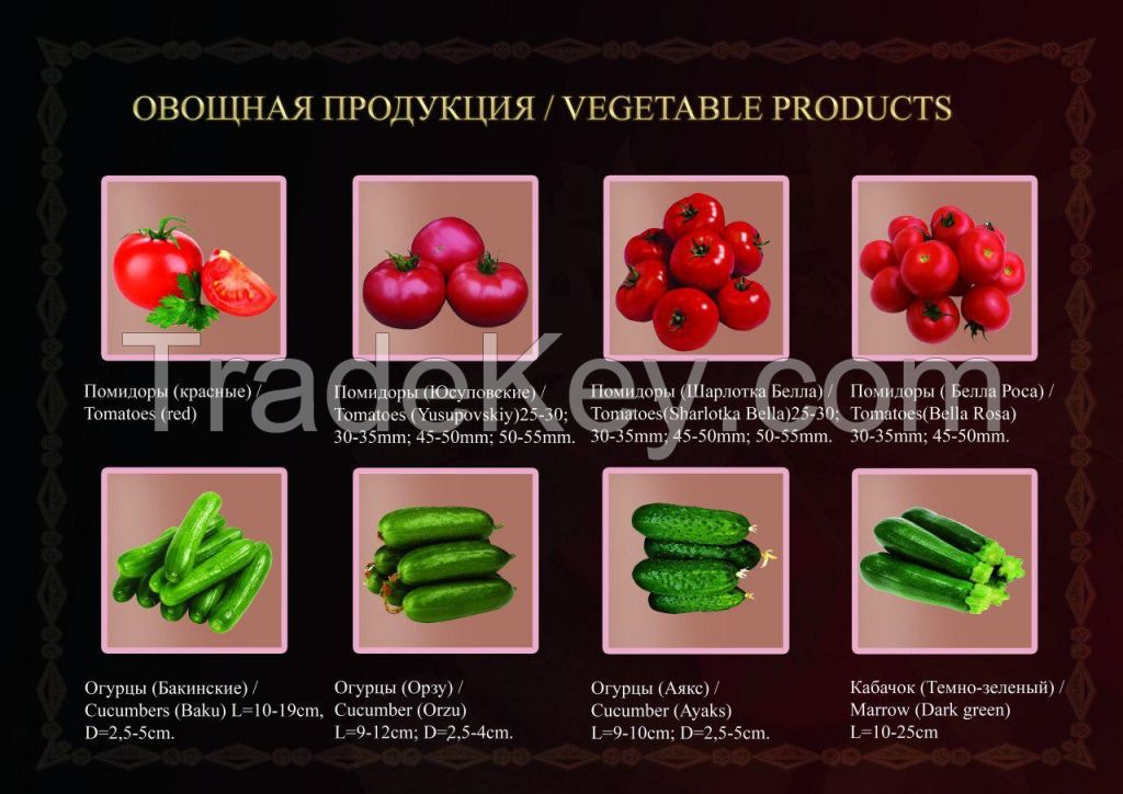 Fruits and Vegetables