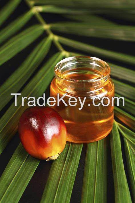 Refined Palm Oil 