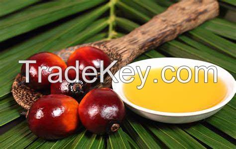Refined Palm Oil 