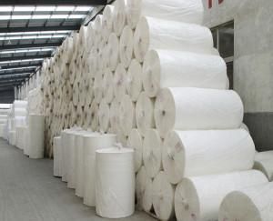 Printed Toilet Paper toilet paper