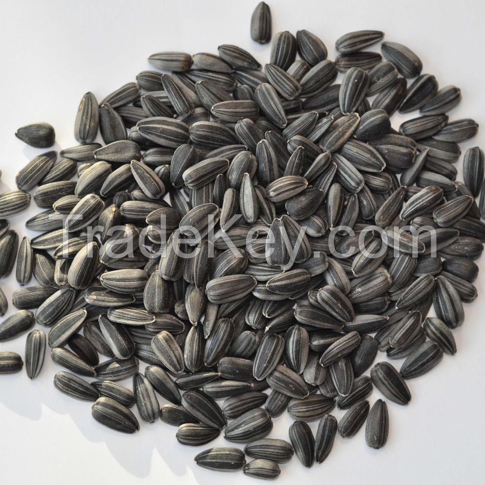 Sunflower Kernel