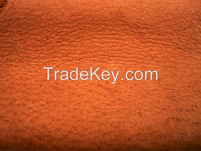 Peccary Leather