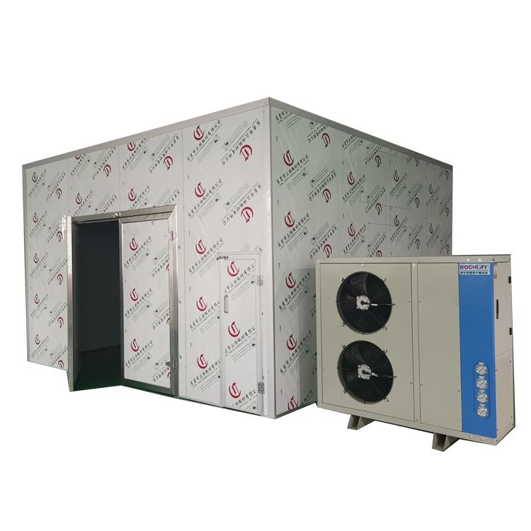 BL-HF Professional Low Electic Consumption Fruit/Vergetable/Meat/ Seafood Heat Pump Dryer