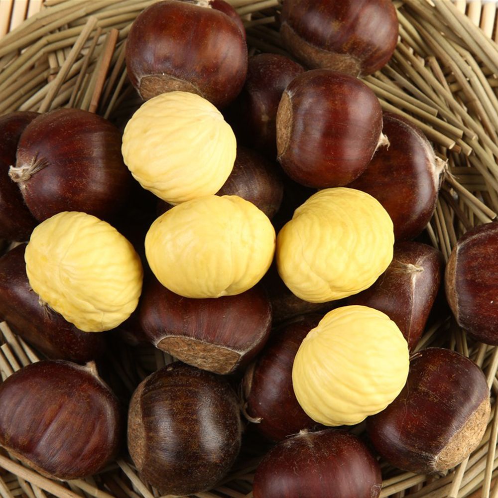 Raw fresh chestnut