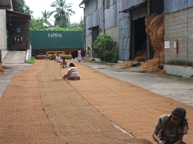 coir logs,coir twines,coir mattress fibrebales,cotton shoddy bales