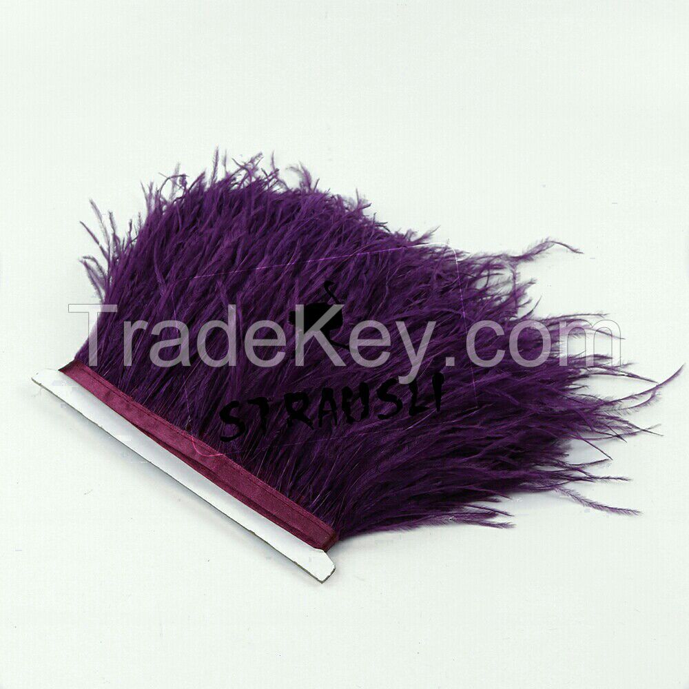 Ostrich Metric Feather