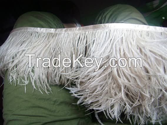 ostrich metric feather