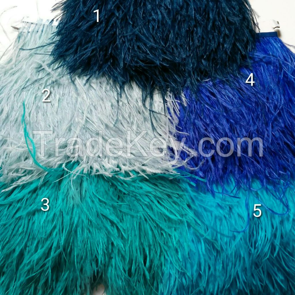 ostrich metric feather