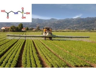 Activated carbon catalyst for Glyphosate synthesis