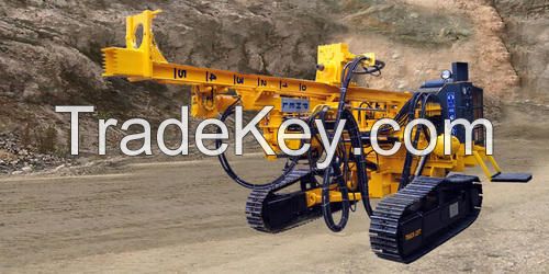 Crawler Mounted Geo Technical Drilling Rig (PCDR-1000)