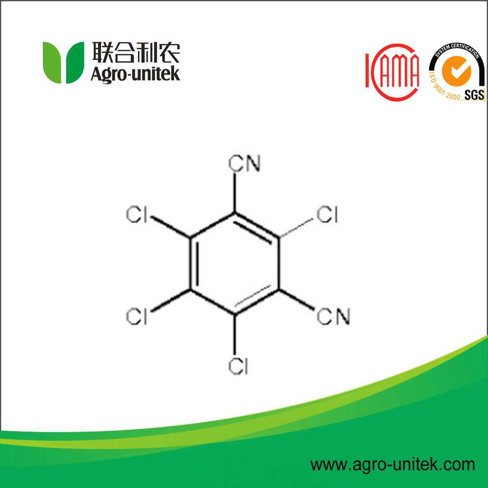 Agrochemicals Chlorothalonil 75 wp Fungicide     
