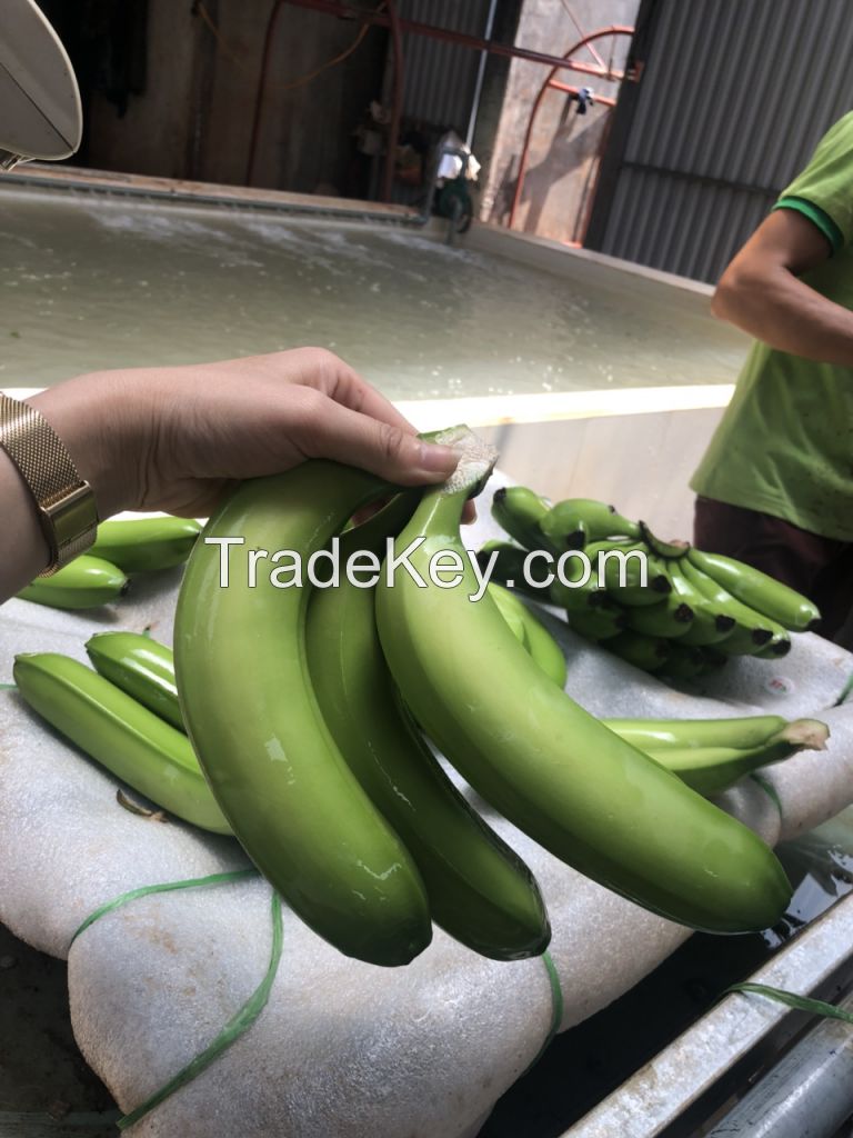 Vietnammese Fresh and Delicious Banana 